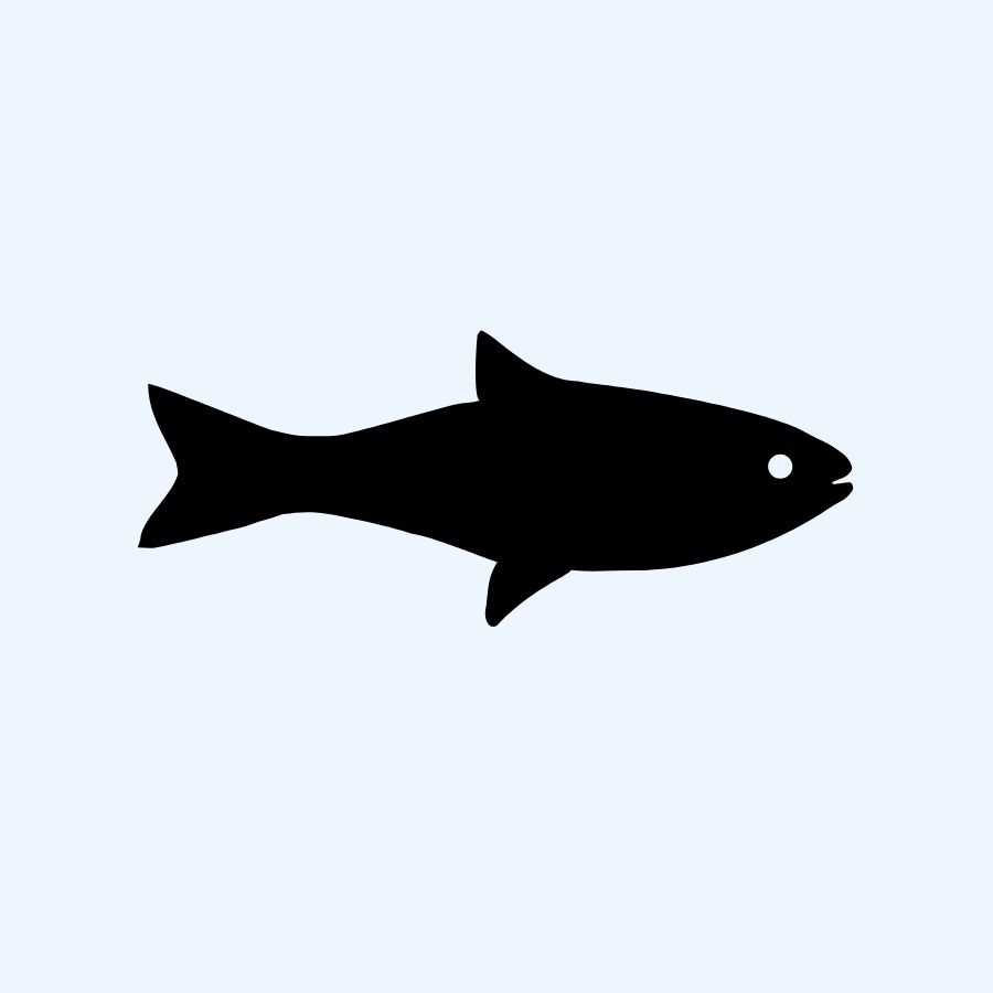 fish svg