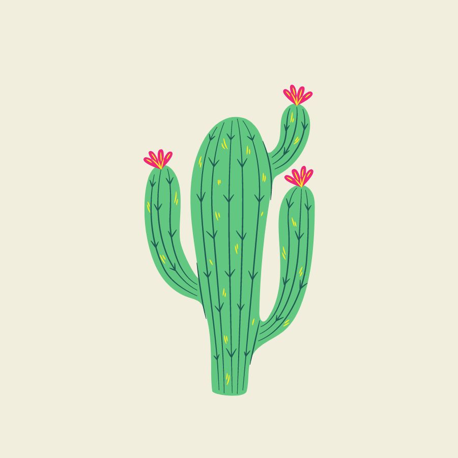 Cactus svg