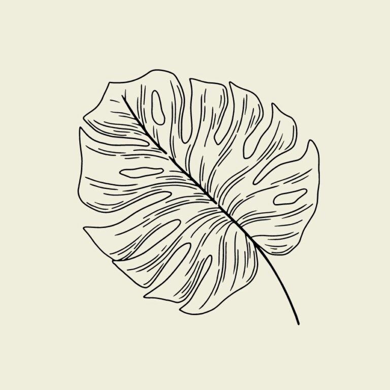 Free Nature SVG Bundle Avatoon