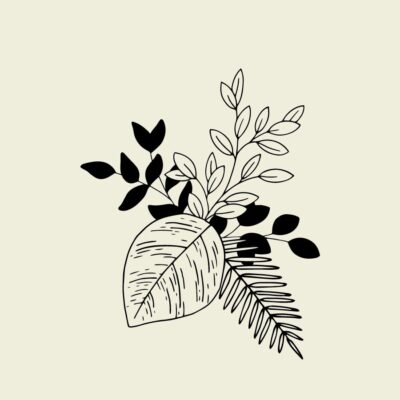 Free Nature SVG Bundle - Avatoon