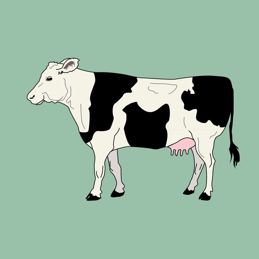 cow svg